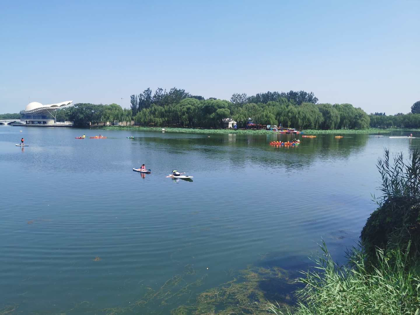 电脑看的眼睛疼,公园里看看学划船的.[给心心]