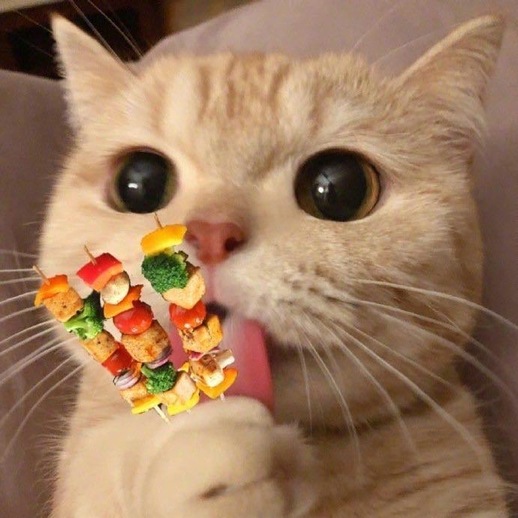 se,本月17号开始发售,起价399,你准备好钱包了吗[星星眼][星星眼]