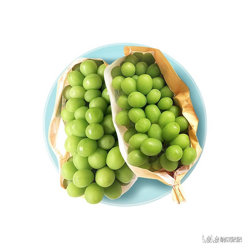 纳豆奶奶 _ 哔哩哔哩相簿