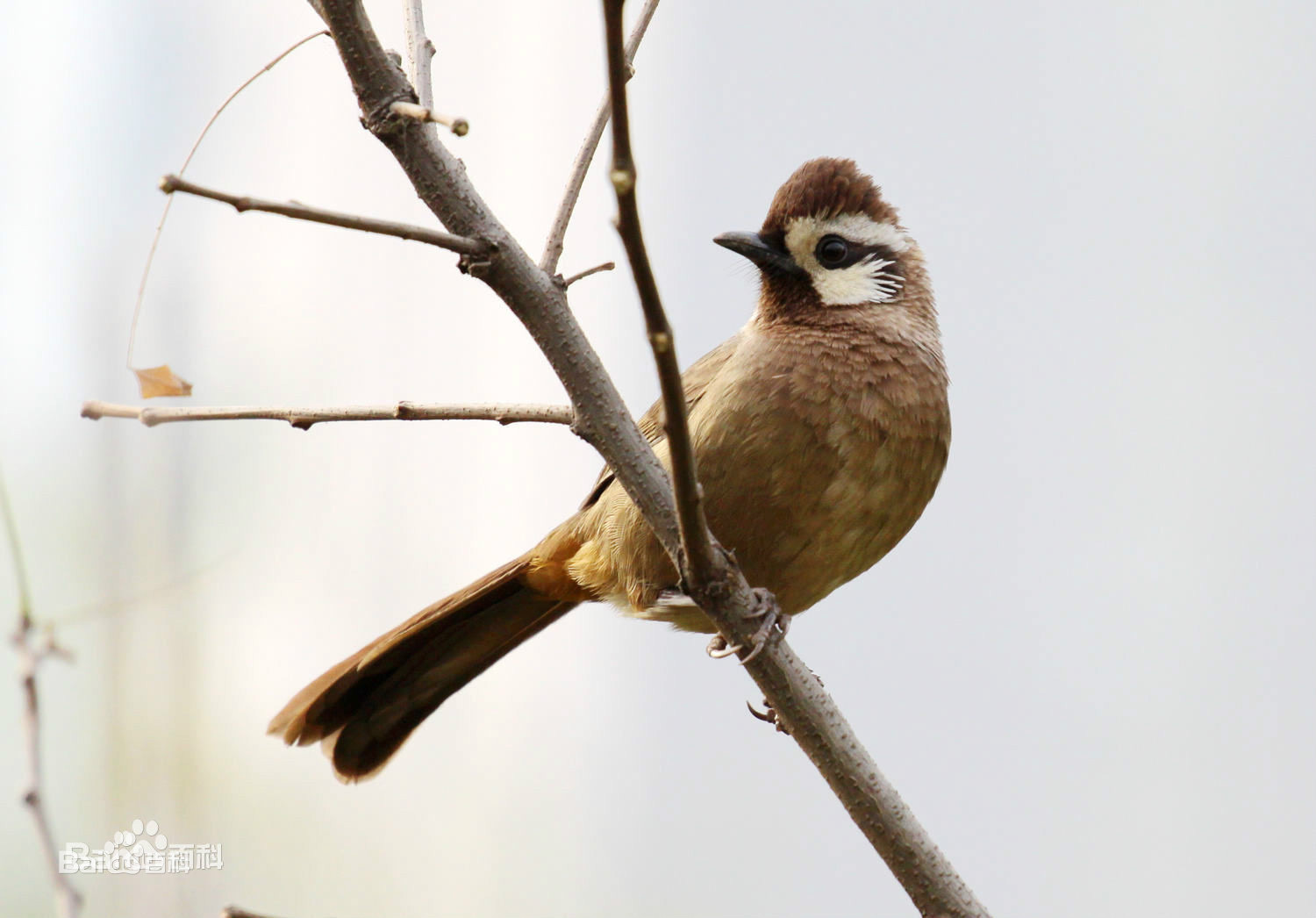 上传时间:2020-06-12 15:45:05