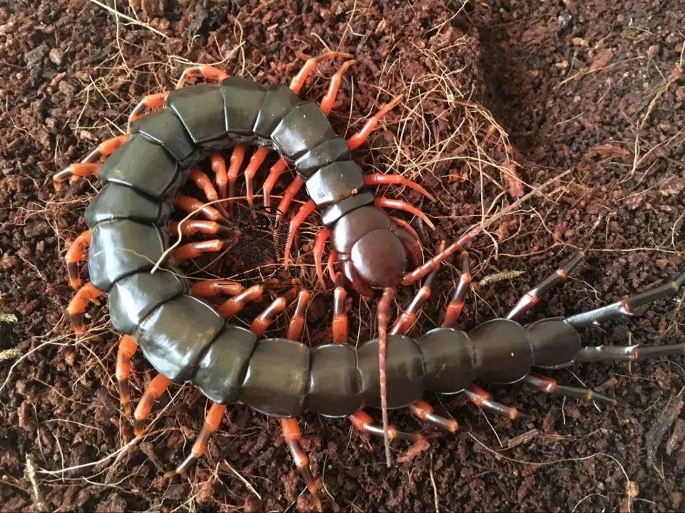 上传时间:2019-10-25 19:37:56