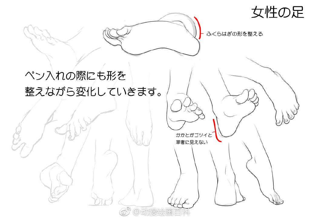 动漫绘画百科 哔哩哔哩相簿