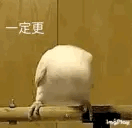 咕咕咕 下次一定[tv_思考][热词系列_可以]