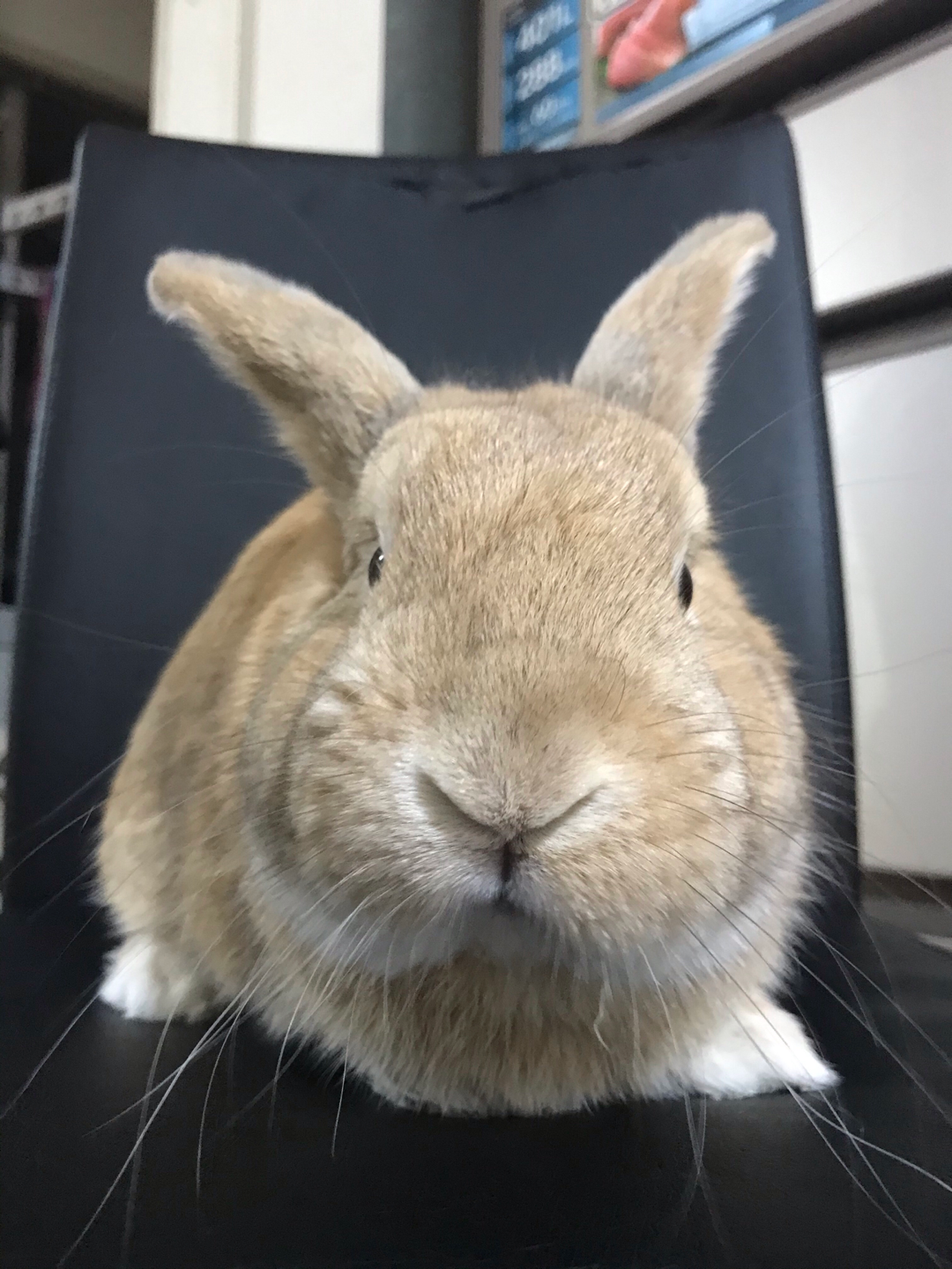 ta 的直播间闲置中老头环二周目准备vivian19880810194ta 的小视频0ta