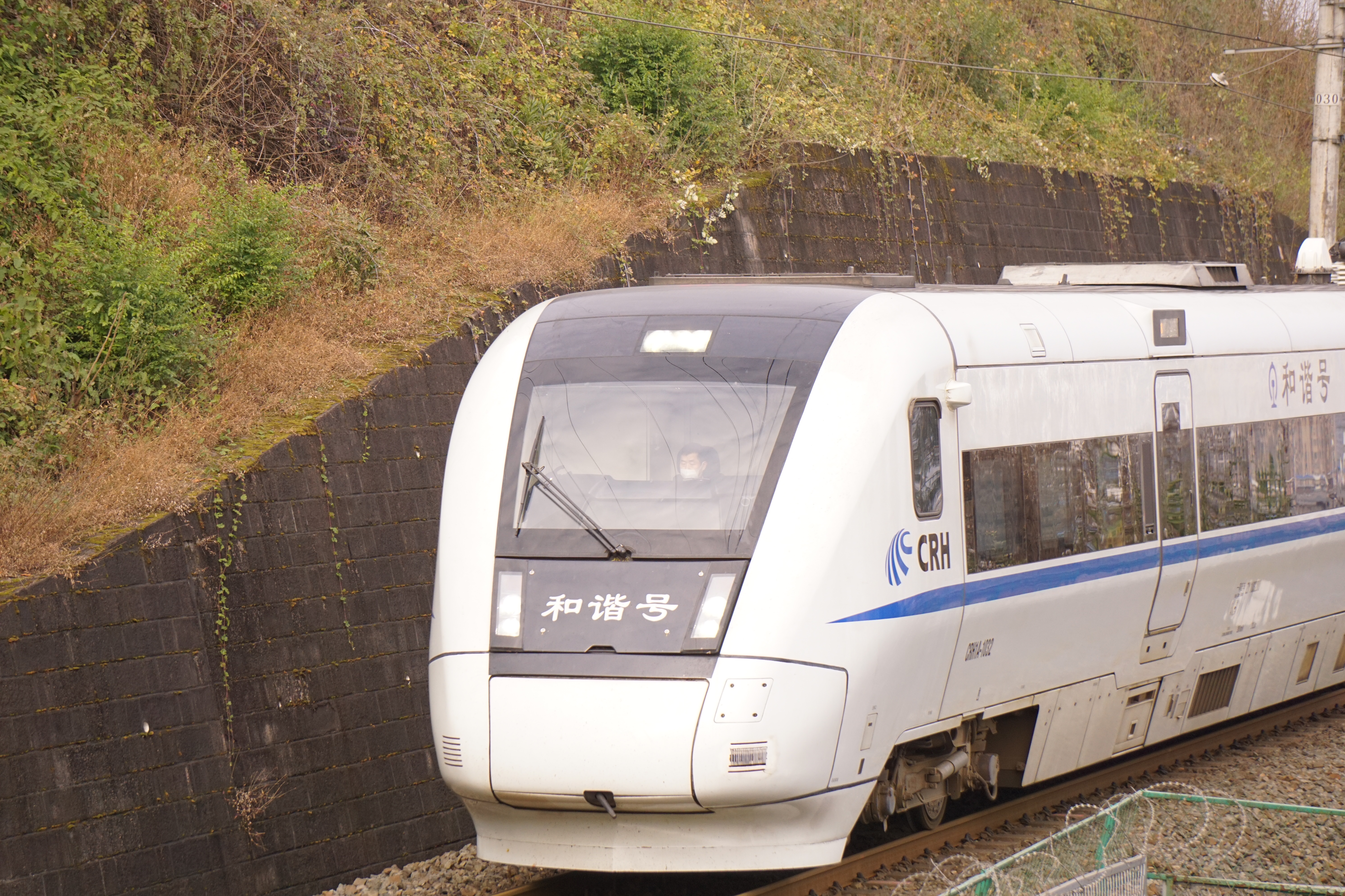 大地铁合集[吃瓜] p1:d634(成都东—汉口)crh1a