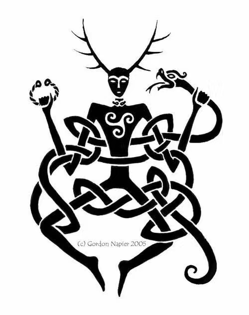 哔哩哔哩相簿,绘你所想,拍你所爱