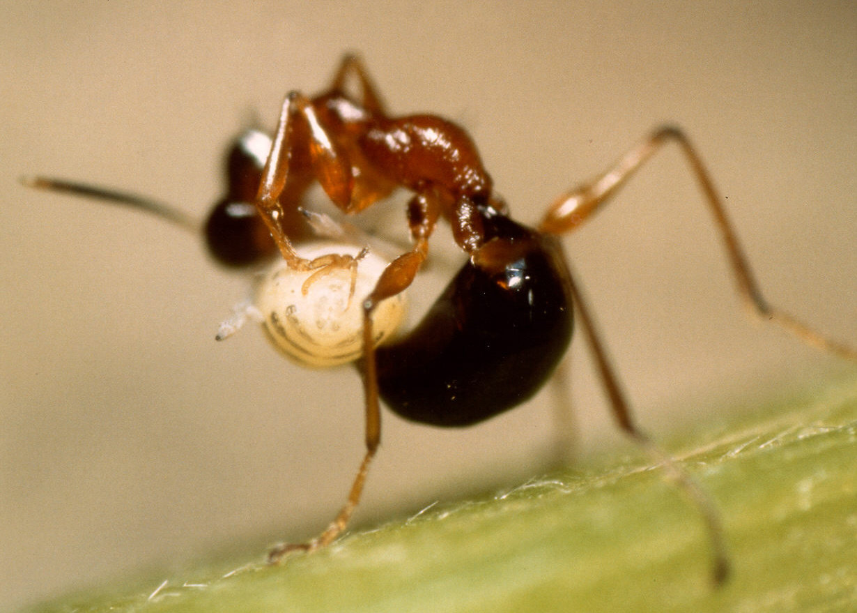 你那一秒是我的 _ 哔哩哔哩相簿