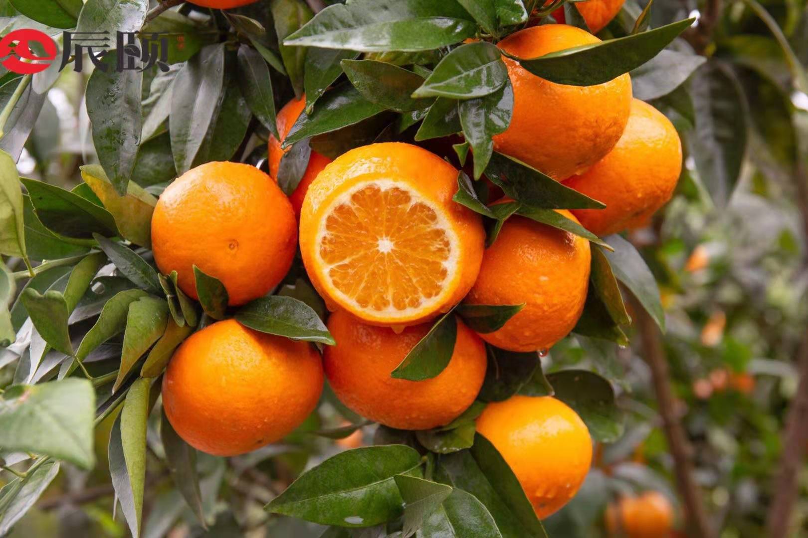 runaway33 _ 哔哩哔哩相簿