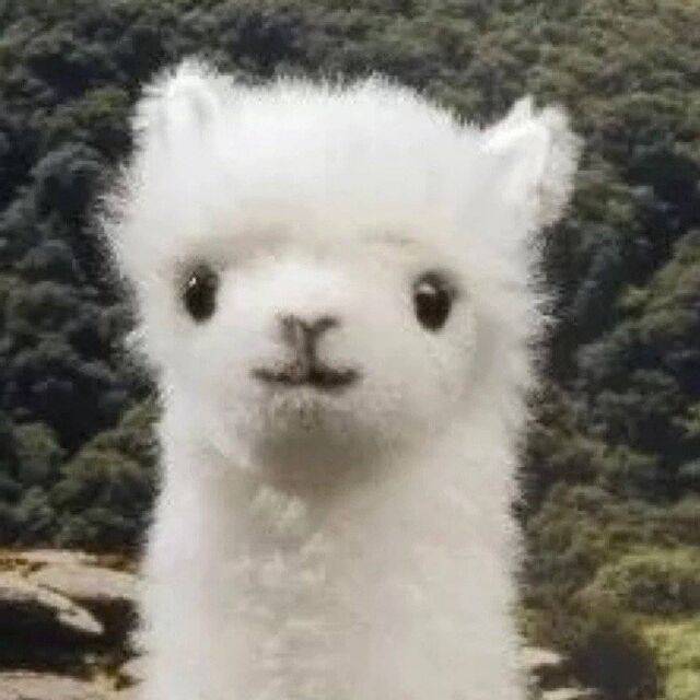 金德道 _ 哔哩哔哩相簿