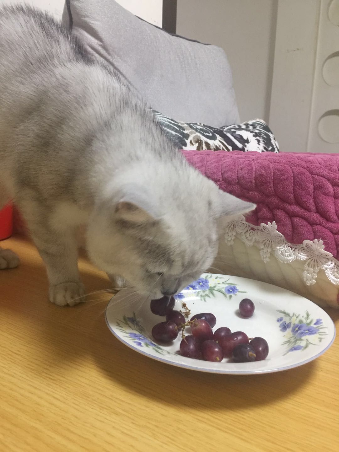 ta 的直播间闲置中是坏心思清软喵呀0ta 的小视频