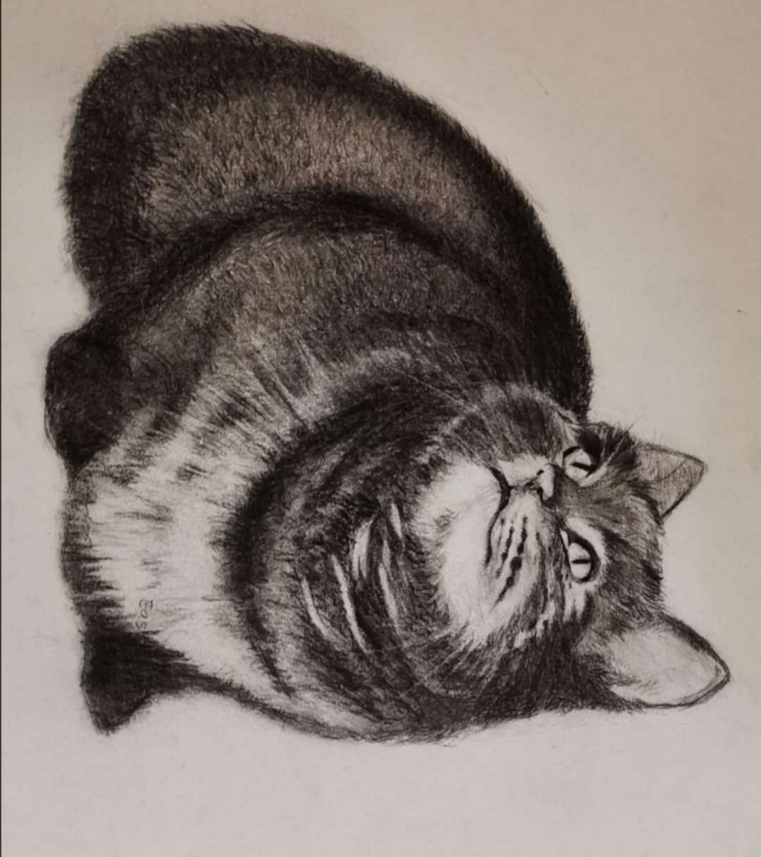 是橘猫! 07_ゝ`浏览:8收藏:0支持:2上传时间:2020-03-16 00:06:54