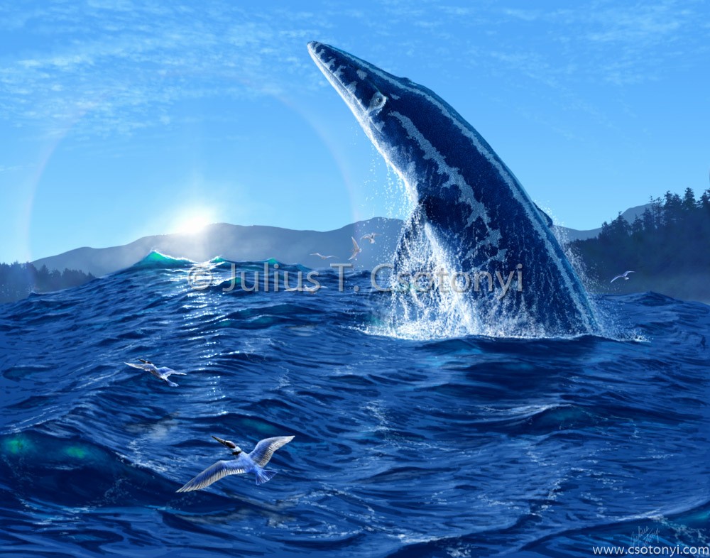 【古生物复原欣赏】佩姆比海王龙(tylosaurus pembine