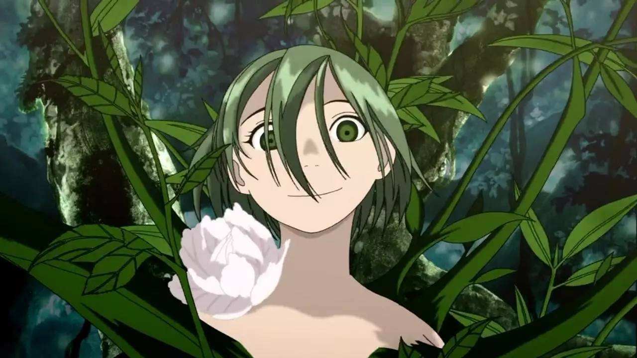 绀野木棉季official