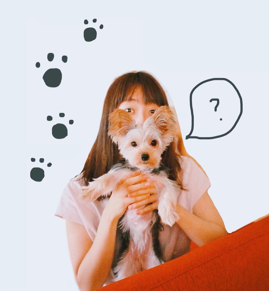 貓吃布丁 哔哩哔哩相簿