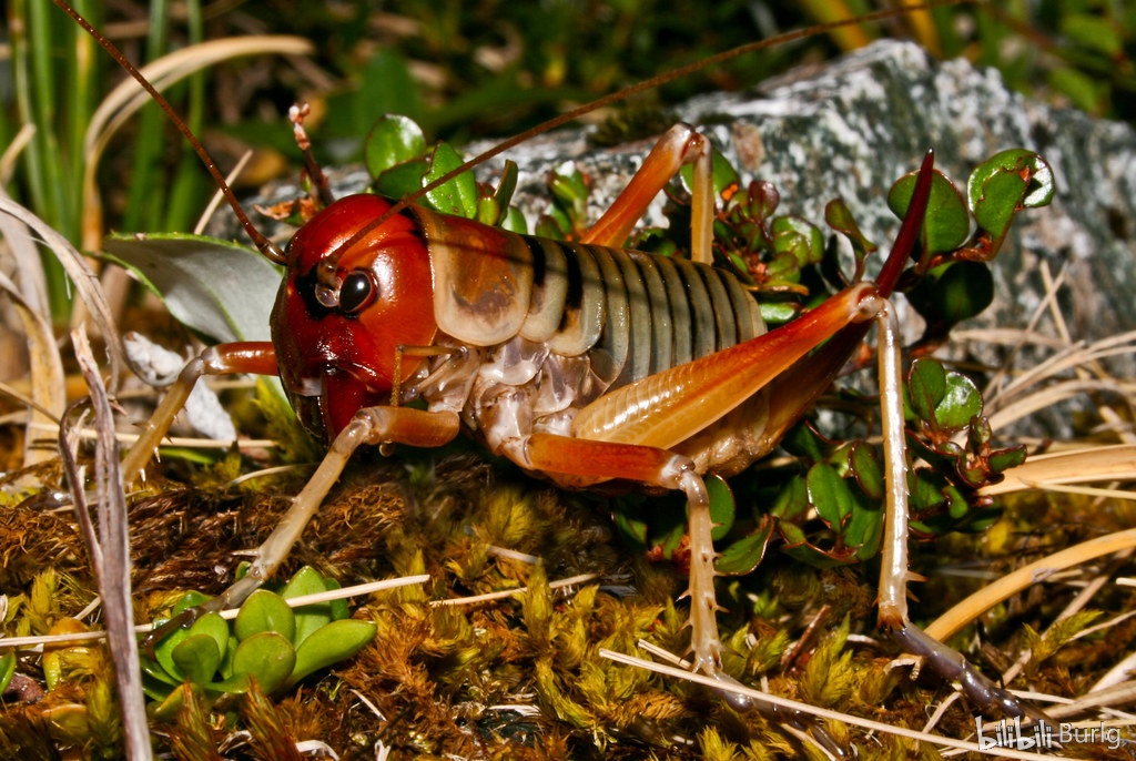 上传时间:2020-04-15 19:22:59