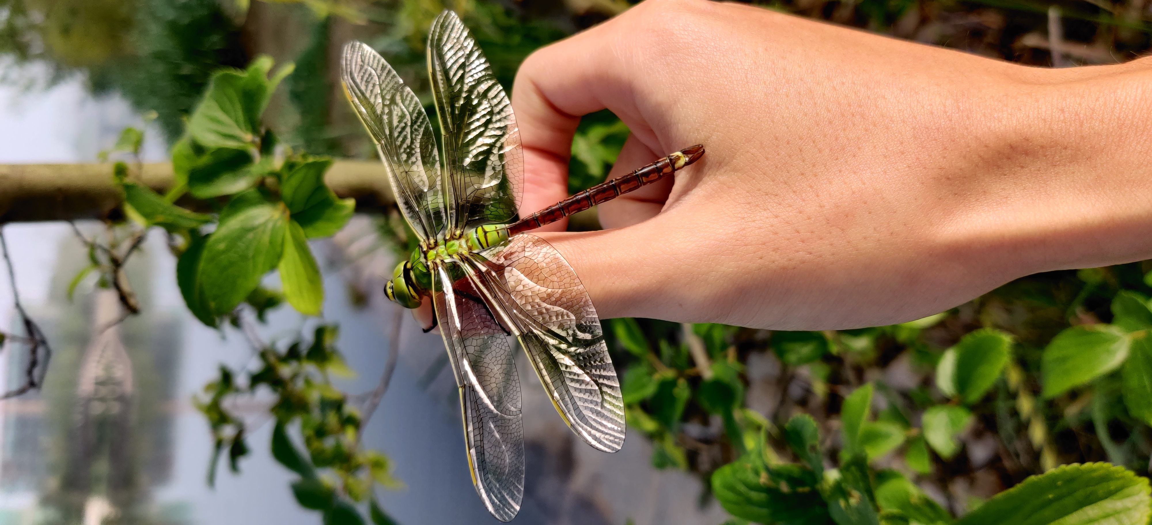 流向未来的小河 _ 哔哩哔哩相簿