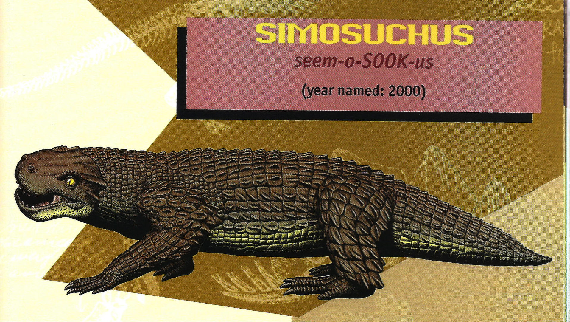 克氏狮鼻鳄simosuchus clarki浏览:939收藏:0支持:41上传时间:2020-12