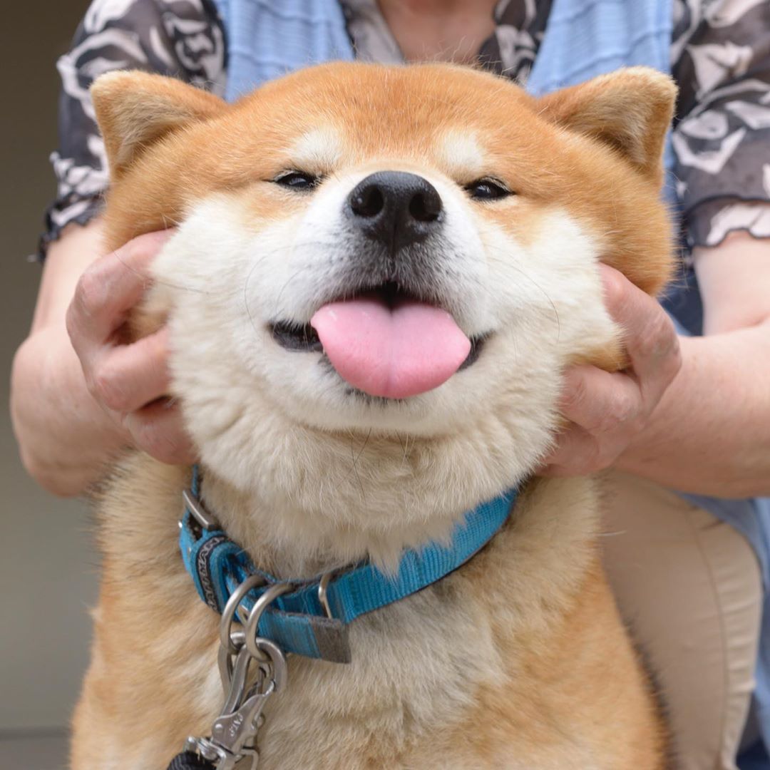 umrright _ 哔哩哔哩相簿