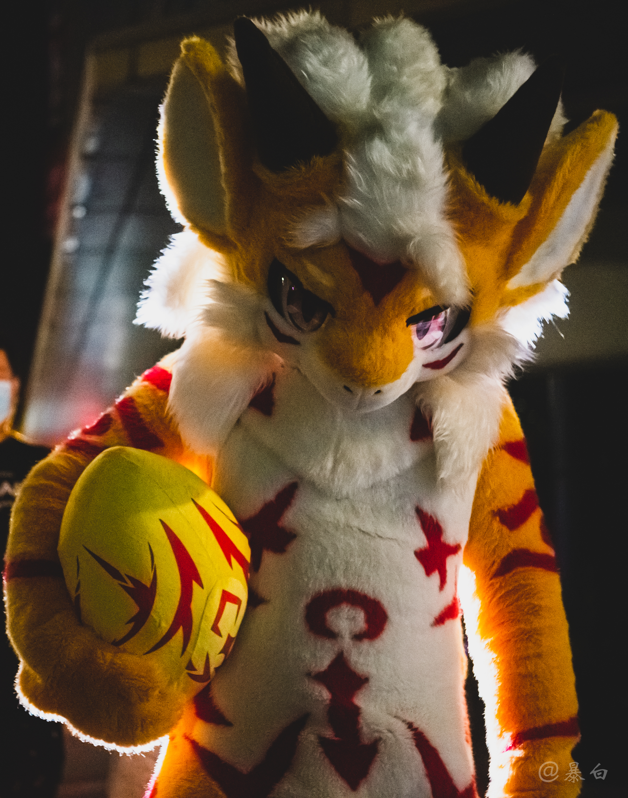 "再敢偷我蛋,我饶不了你@aaa只想随便发点什么#fursuit#极兽聚