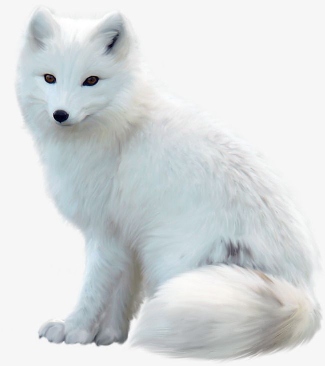 哔哩哔哩相簿,绘你所想,拍你所爱