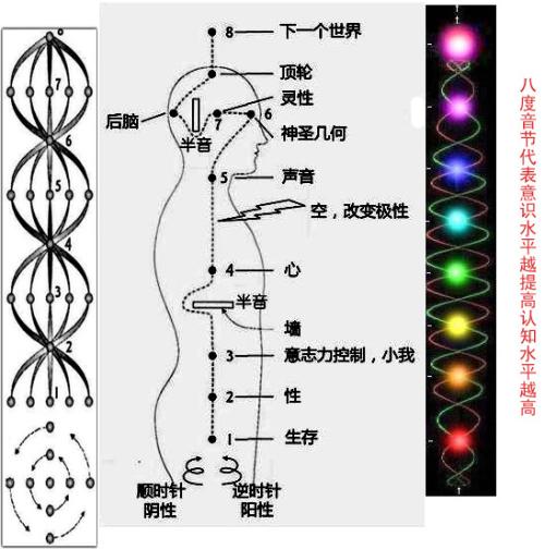 太阳神经丛的准确位置图片