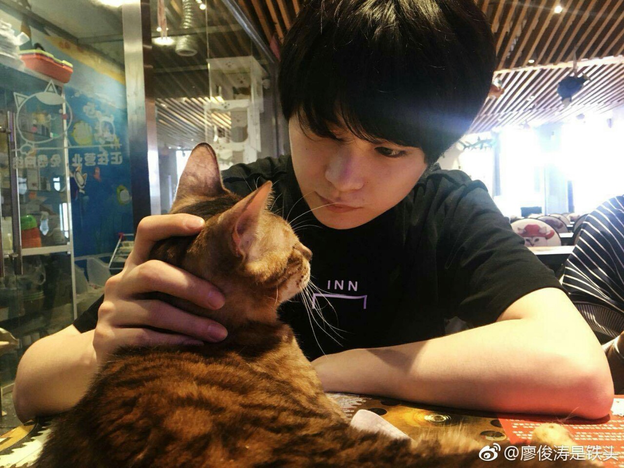 努力的小冯同学 _ 哔哩哔哩相簿