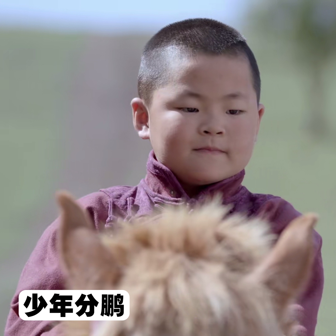 ta 的直播间闲置中更多a asd娱乐圈圈儿50969ta 的小视频0更多ta 还没