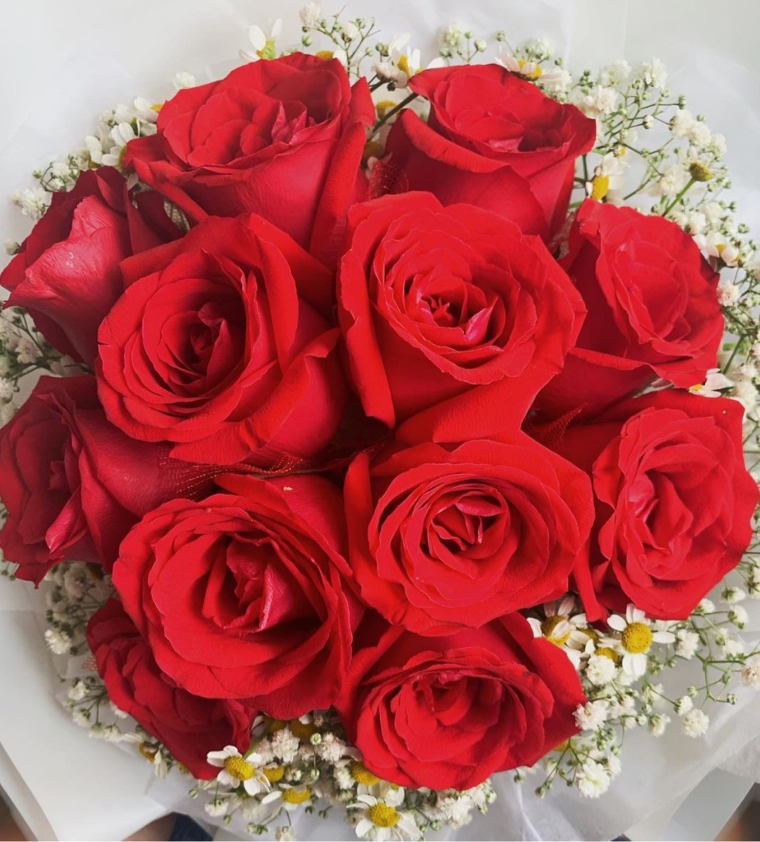 25岁快乐,小妞儿 致自己