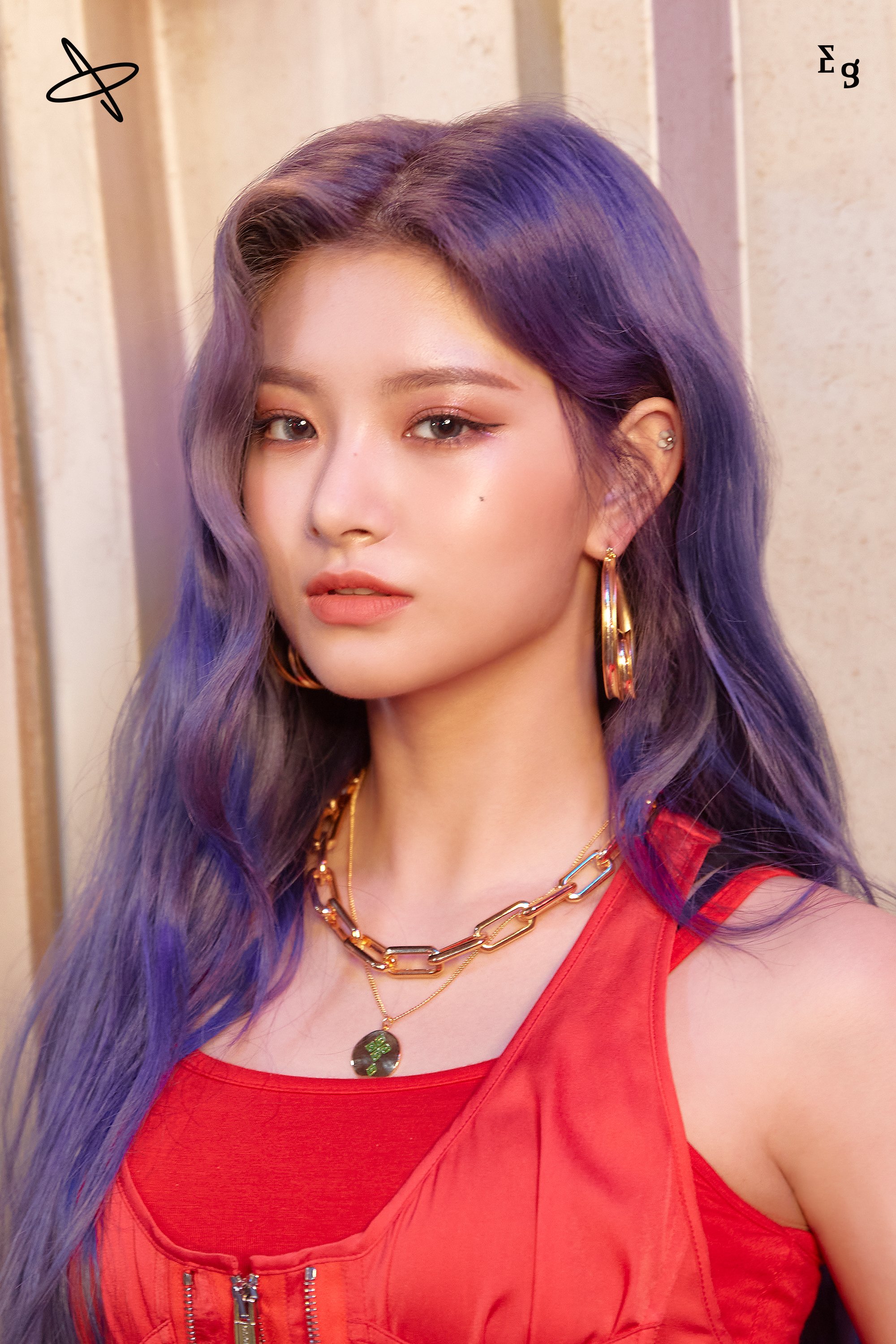 哔哩哔哩相簿,绘你所想,拍你所爱