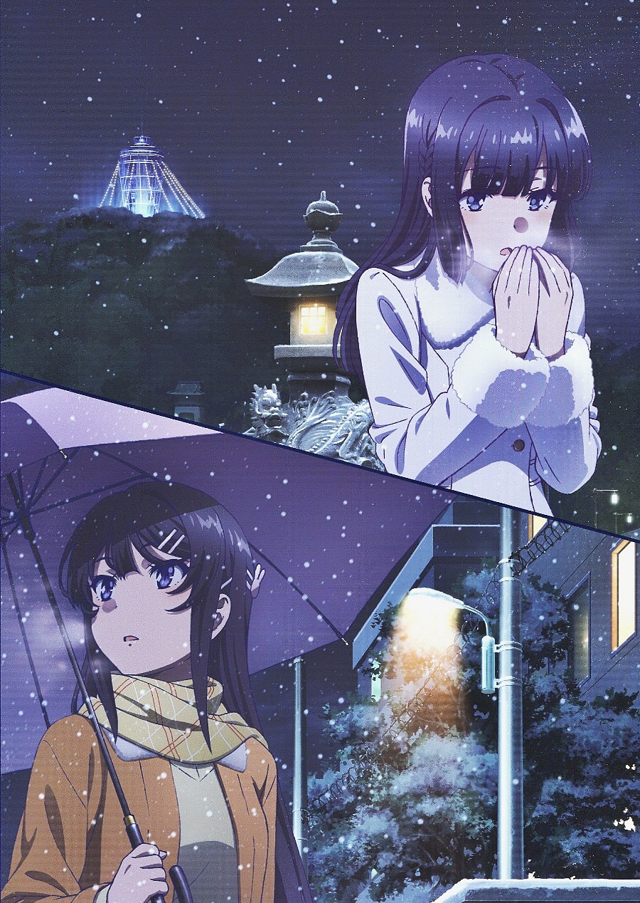 兔女郎学姐_樱岛麻衣 _ 哔哩哔哩相簿