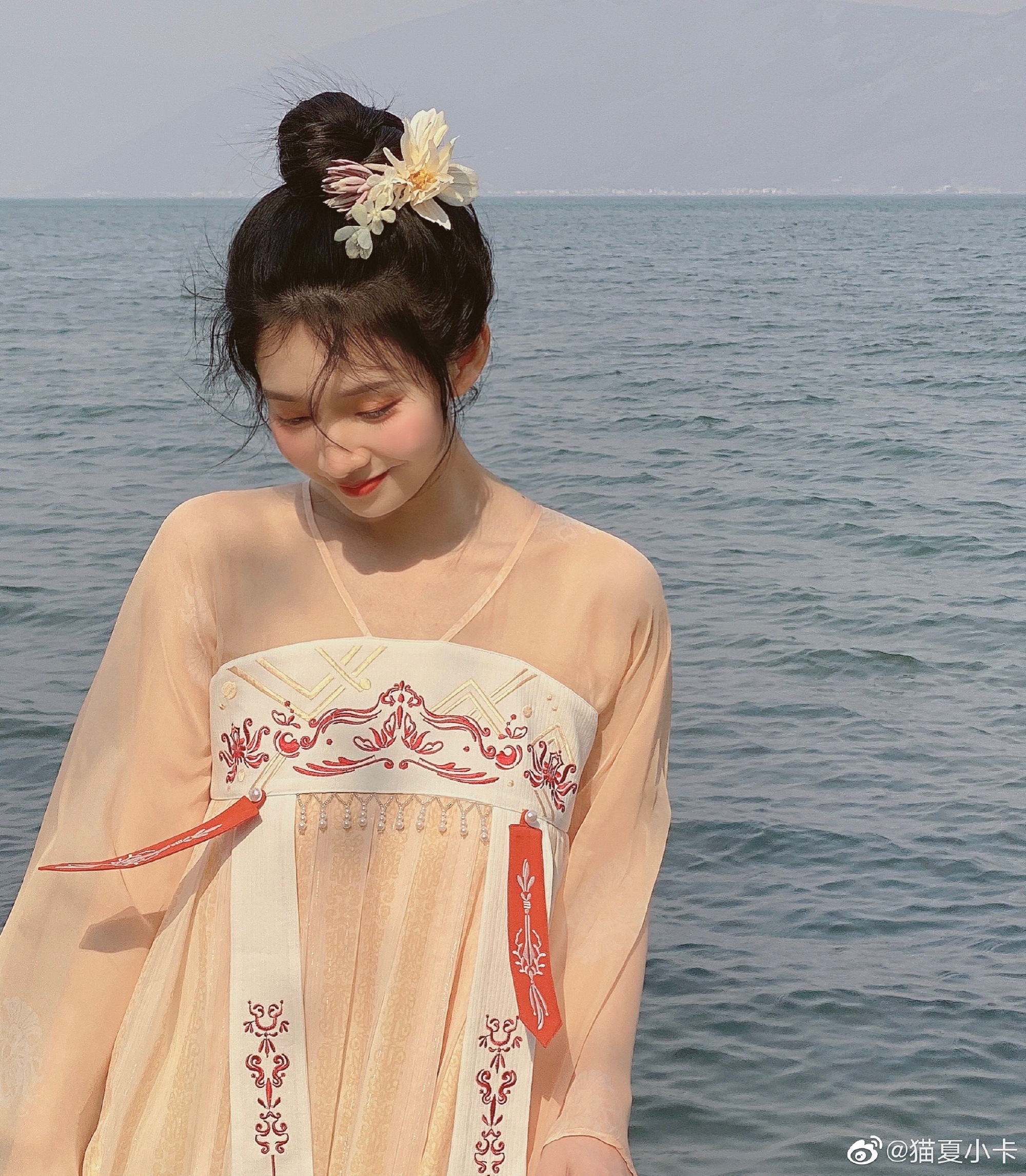 猫夏小卡