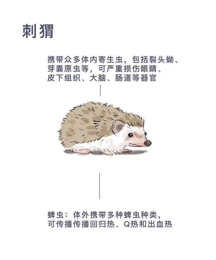 欢乐的磊 _ 哔哩哔哩相簿