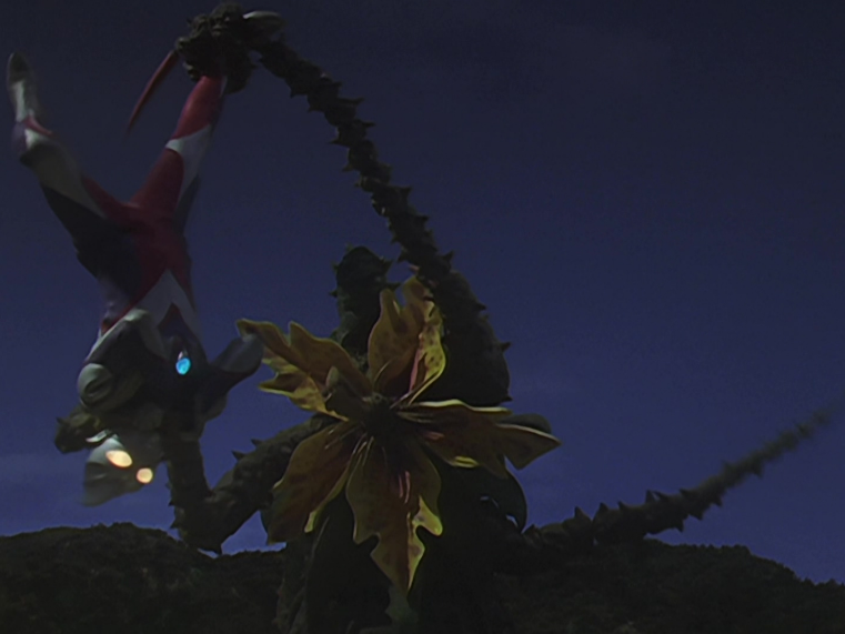 h萌团队 _ 哔哩哔哩相簿