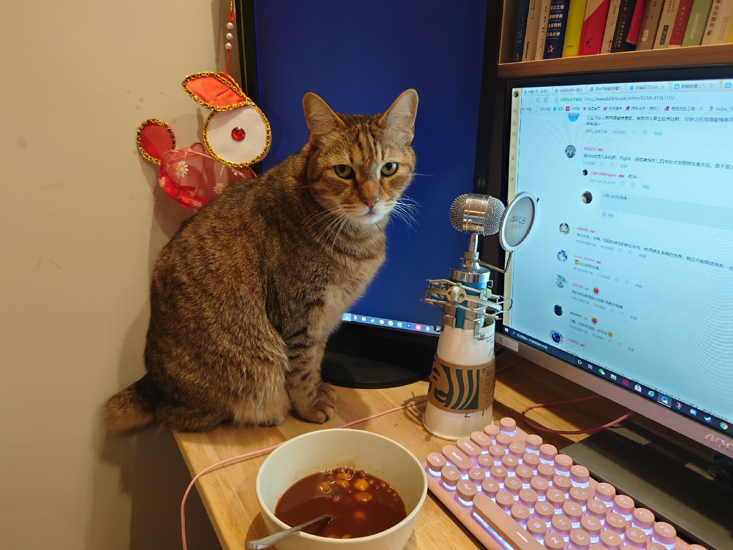 立蓁小辣椒pepper