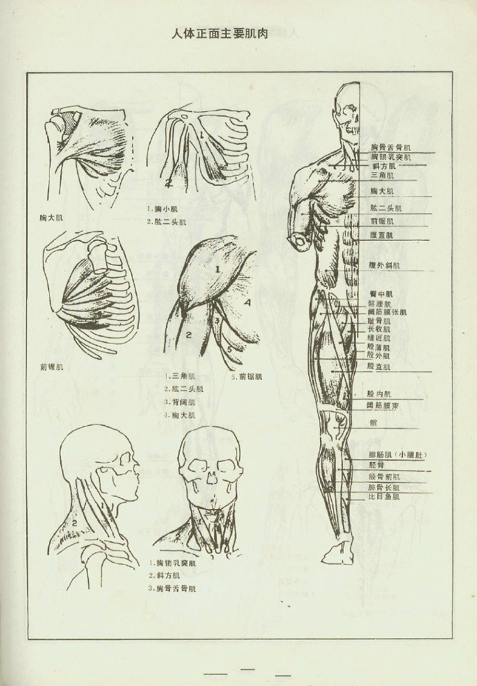 北京传奇画室 _ 哔哩哔哩相簿