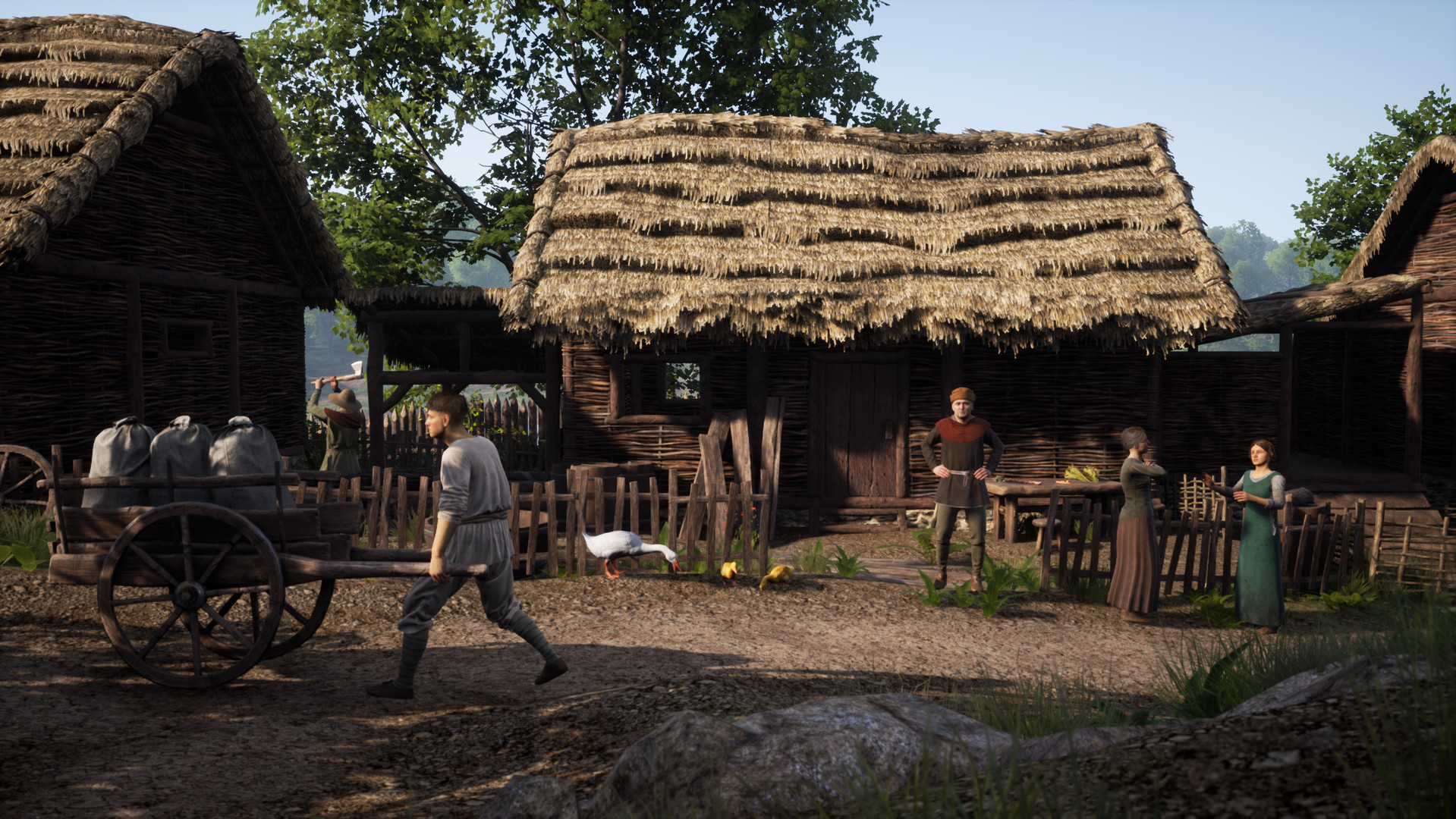 杉果sonkwo _ 哔哩哔哩相簿