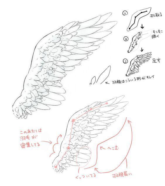 灵猫一起画画画 _ 哔哩哔哩相簿