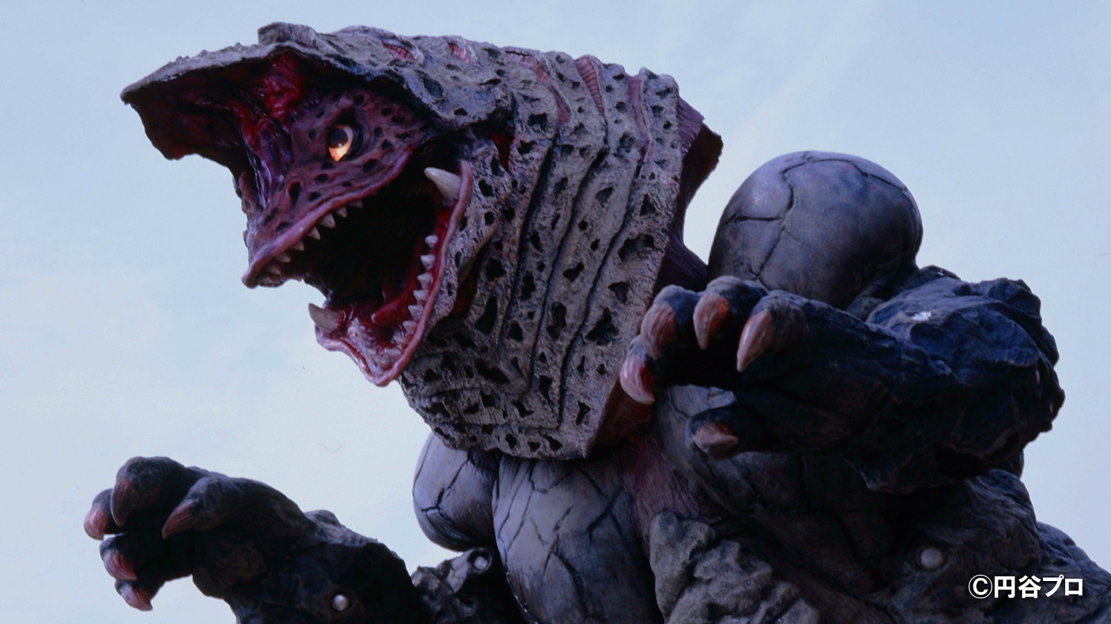 银河本尊 _ 哔哩哔哩相簿