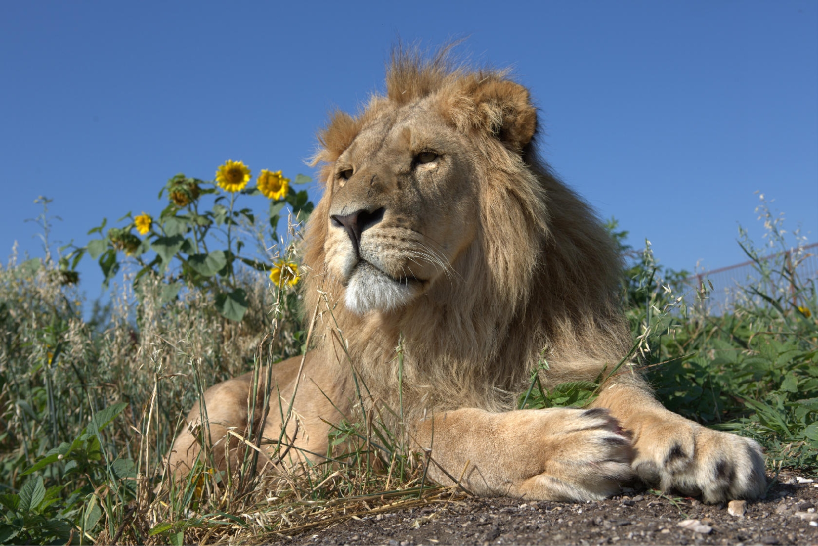 汉zi青 _ 哔哩哔哩相簿