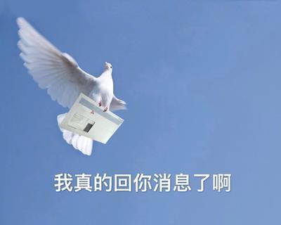 哔哩哔哩up主执事 _ 哔哩哔哩相簿