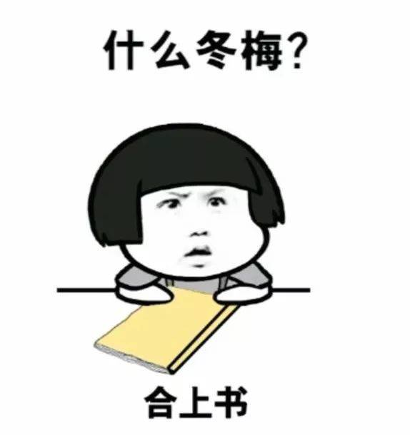 一休少