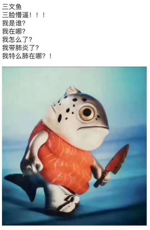 living-mice _ 哔哩哔哩相簿