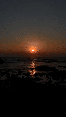 280_491竖版 竖屏gif 动态图 动图