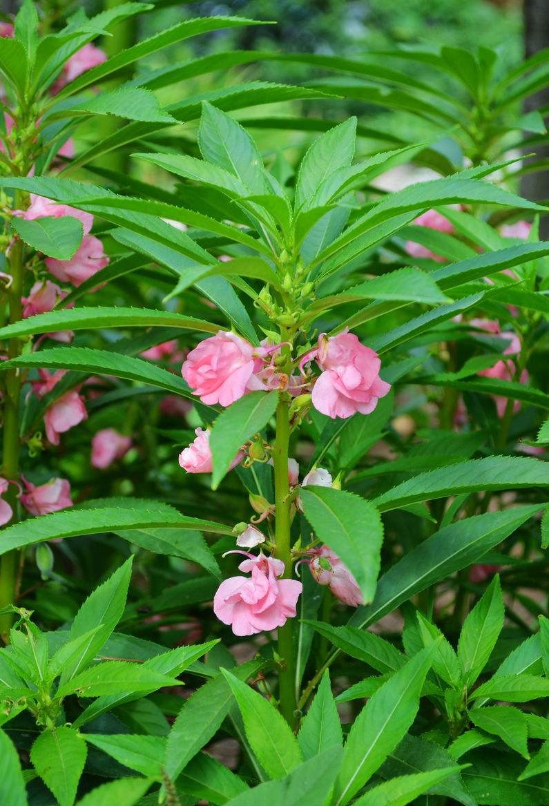 一诗一文每日原创 _ 哔哩哔哩相簿