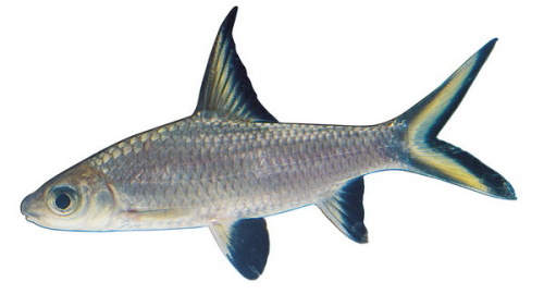 幽晓黑 _ 哔哩哔哩相簿