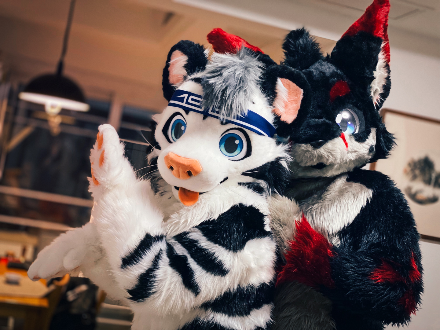 虎兔二人组!  @大老虎卡卡  @宵夜嗷嗷   #fursuitfriday