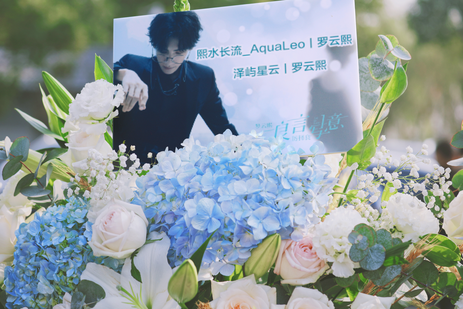 熙水长流丨罗云熙 _ 哔哩哔哩相簿