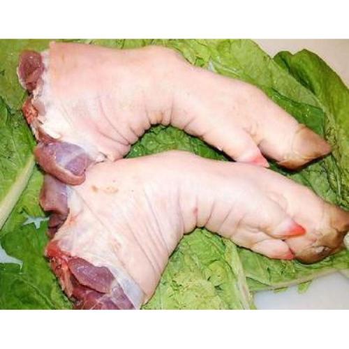 炸毛小鸡仔 _ 哔哩哔哩相簿