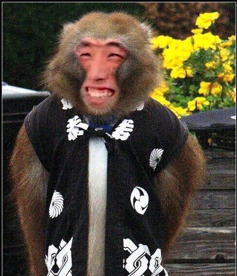 哔哩哔哩相簿,绘你所想,拍你所爱