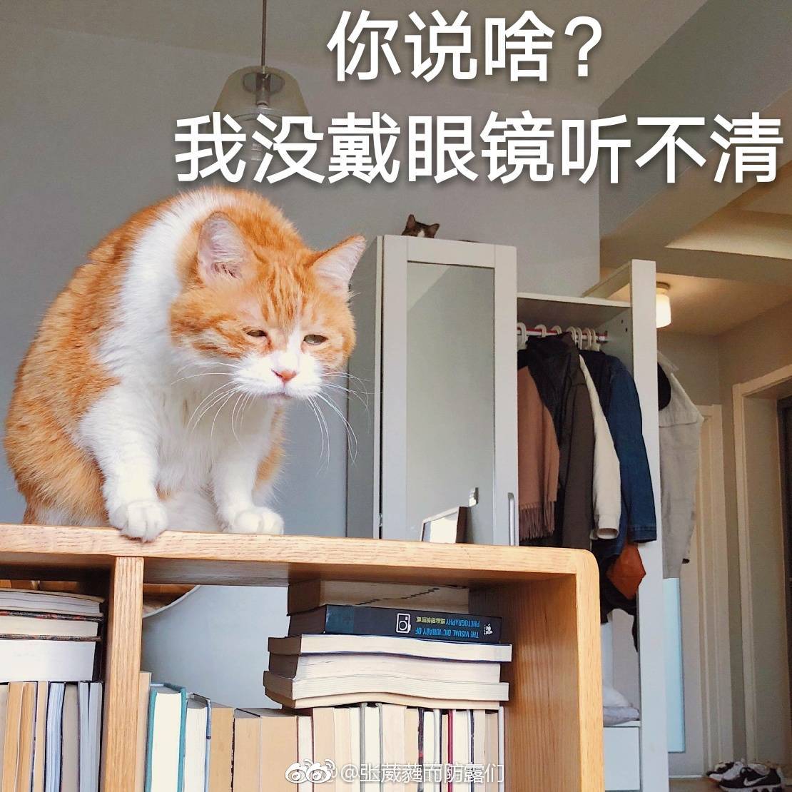 向白新羽学习养猪技巧 _ 哔哩哔哩相簿